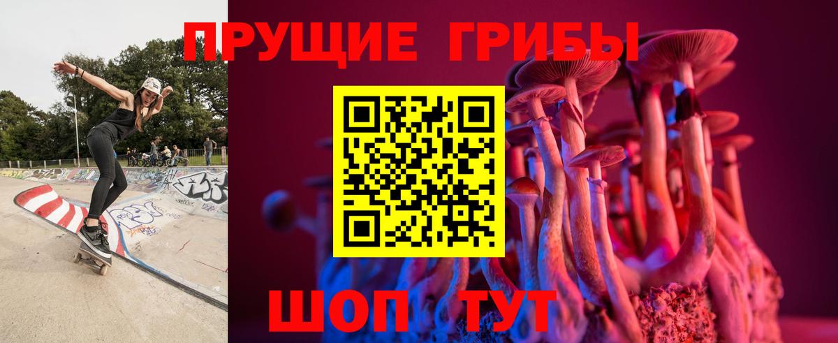 Псилоцибиновые грибы Cubensis  Галлюциногенные грибы мухоморы  Костомукша  Вход с VPN 